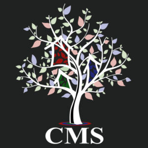 CMS - Ladies Ultimate Performance V Neck Design